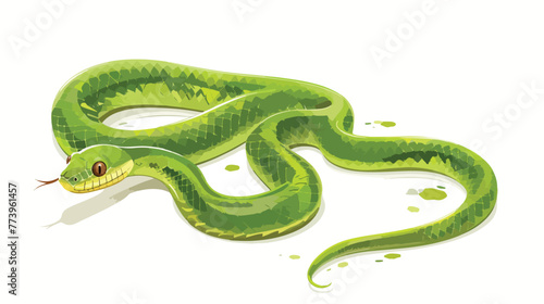 Cartoon green snake on white background flat vector is