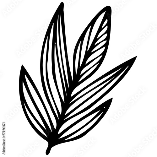 Hand drawn leaves line Symbol visual illustration Floral branch and minimalist flowers for logo or tattoo. Hand drawn line wedding herb, elegant leaves for invitation Botanical rustic trendy greenery