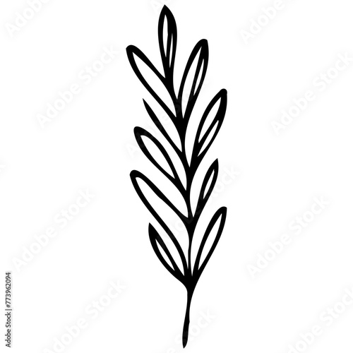 Hand drawn leaves line Symbol visual illustration Floral branch and minimalist flowers for logo or tattoo. Hand drawn line wedding herb  elegant leaves for invitation Botanical rustic trendy greenery
