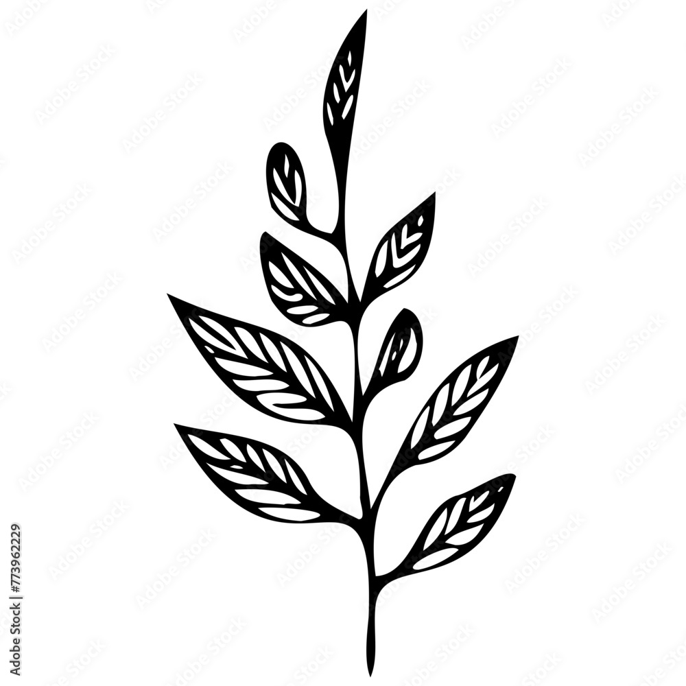 Hand drawn leaves line linear Symbol visual illustration Tropical Leaves in doodle style. Vector hand drawn black line design elements. Exotic summer botanical illustrations. Monstera leaves, palm, 