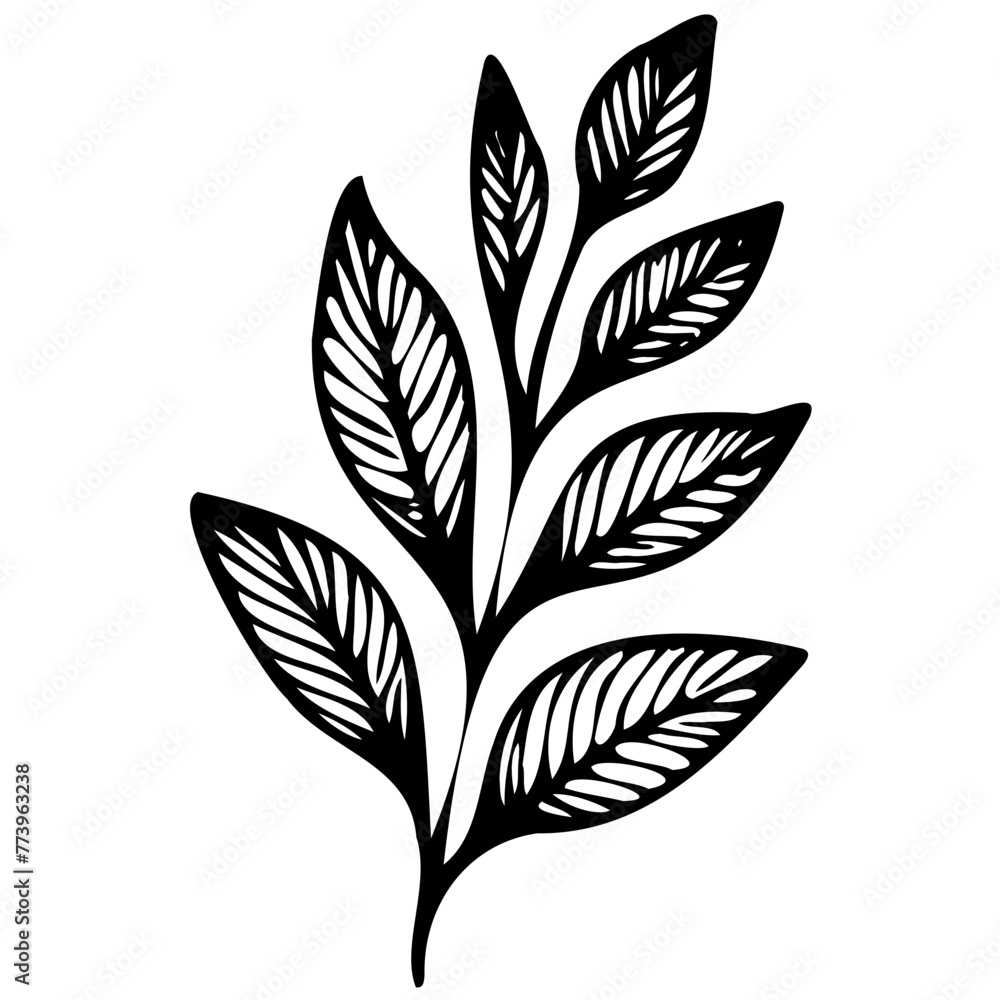 Fototapeta premium Hand drawn leaves line linear black strock Symbol visual illustration Hand drawn leaves line linear black Strock Symbol visual illustration hand drawn curly grass and on white background