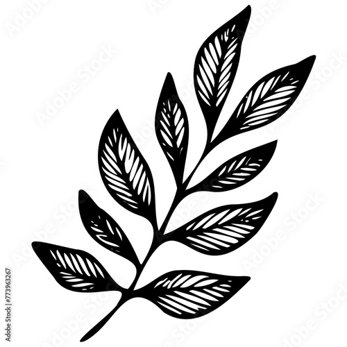 Hand drawn leaves line linear black strock Symbol visual illustration Hand drawn leaves line linear black Strock Symbol visual illustration hand drawn curly grass and on white background © Microstocke