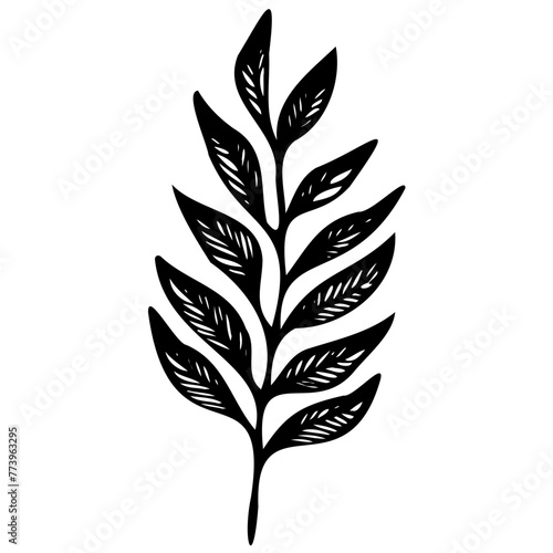 Hand drawn leaves line linear black strock Symbol visual illustration Hand drawn leaves line linear black Strock Symbol visual illustration hand drawn curly grass and on white background © Microstocke