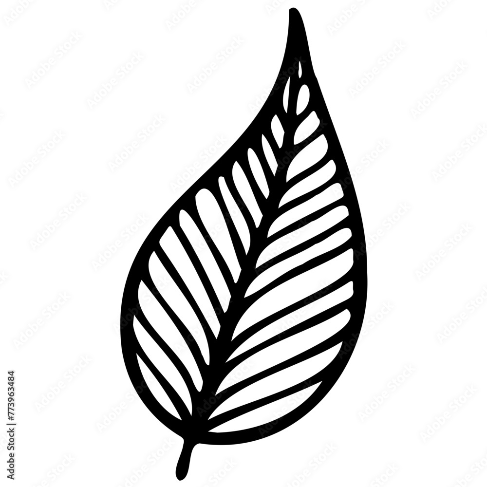 Hand drawn leaves line linear black strock Symbol visual illustration Hand drawn leaves line linear black Strock Symbol visual illustration hand drawn curly grass and on white background Hand drawn leaves line linear black strock Symbol visual illustration Hand drawn leaves line linear black Strock Symbol visual illustration hand drawn curly grass and on white background