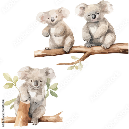 watercolor Vector Set of koala bear sitting on a tree branch, isolated on white background vector illustration, Graphic Painting, Drawing clipart. photo