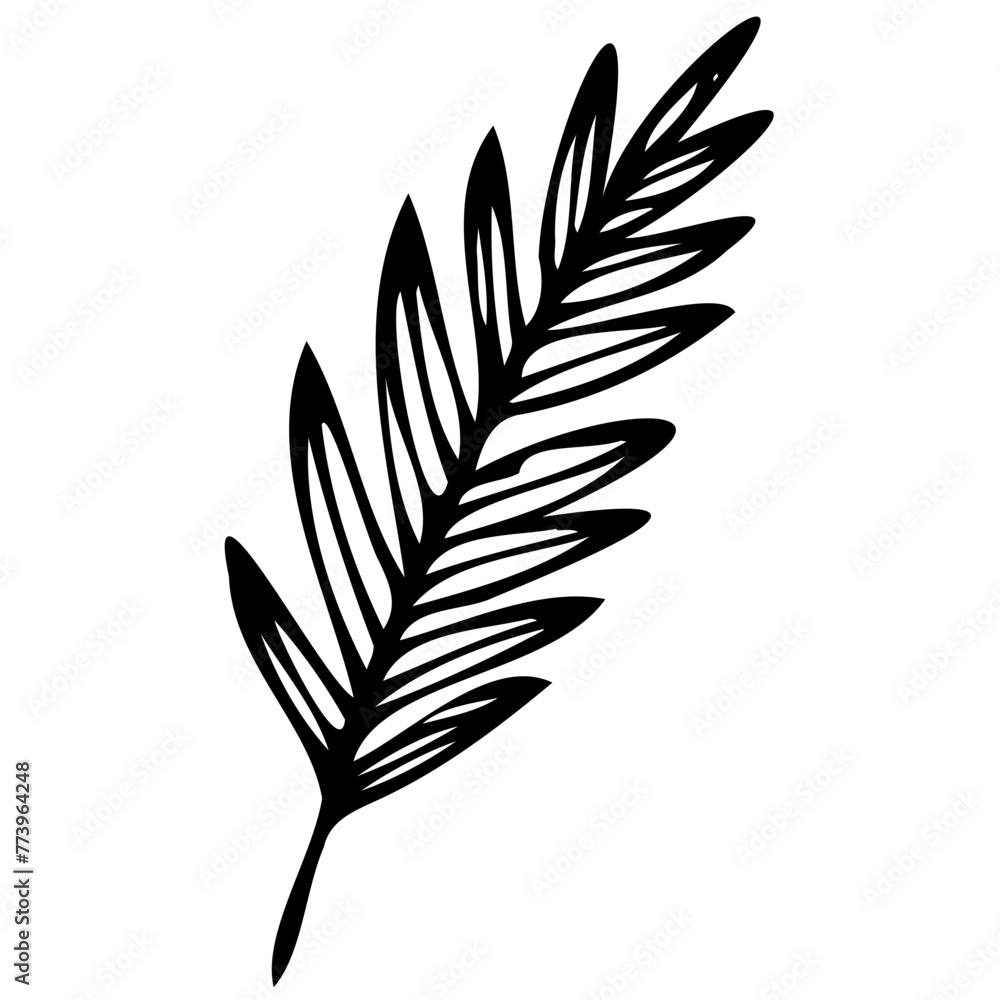 Hand drawn leaves line linear black Strock Symbol visual illustration Hand drawn leaves line linear black Strock Symbol visual illustration hand drawn curly grass and on white background Hand drawn leaves line linear black Strock Symbol visual illustration Hand drawn leaves line linear black Strock Symbol visual illustration hand drawn curly grass and on white background