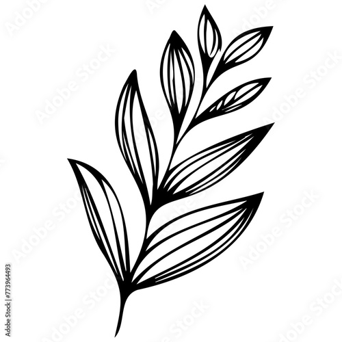 Hand drawn leaves line linear black strock Symbol visual illustration hand drawn curly grass and flowers on white isolated background. Botanical illustration. Decorative floral © Microstocke