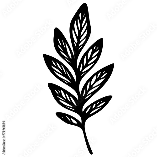 Hand drawn leaves line linear black strock Symbol visual illustration hand drawn curly grass and flowers on white isolated background. Botanical illustration. Decorative floral