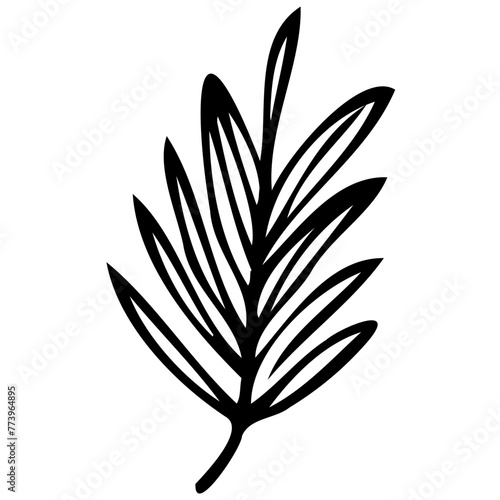 Hand drawn leaves line linear black strock Symbol visual illustration hand drawn curly grass and flowers on white isolated background. Botanical illustration. Decorative floral