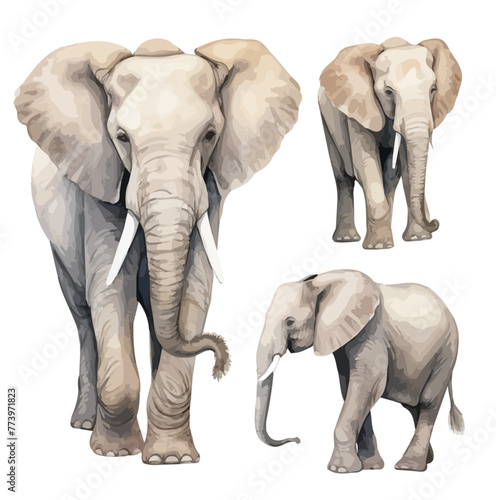 Watercolor clipart vector of set elephant, isolated on a white background, Graphic Painting, Drawing Illustration, design.
