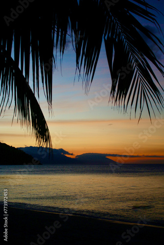 Sunset on a tropical island. View of the sea and the silhouette of a hilly tropical island through palm branches. © Houston