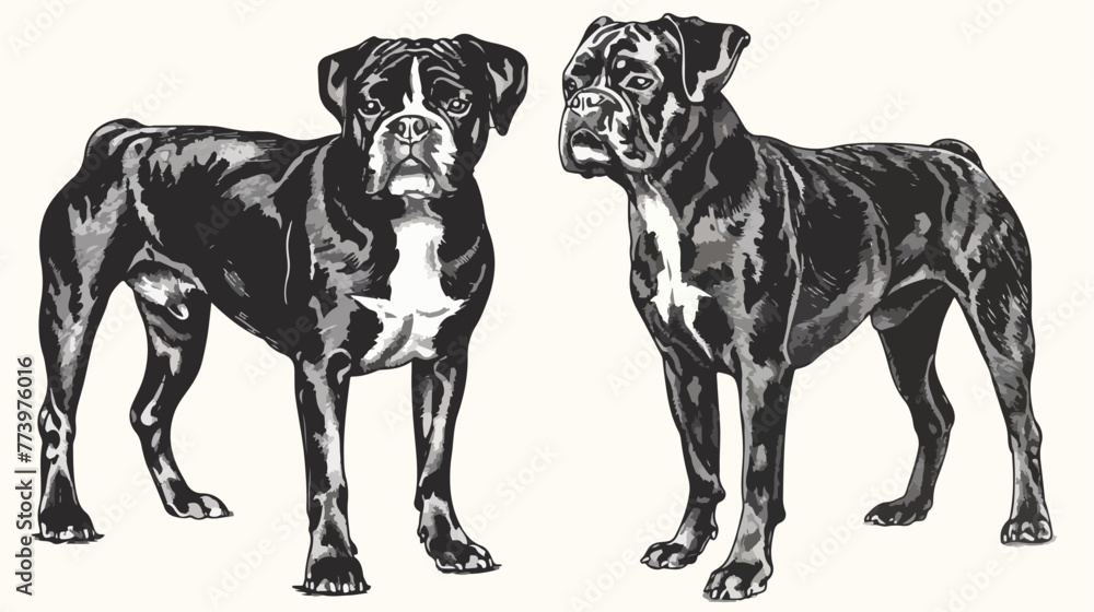 Dog breeds engraved hand drawn vector illustration in
