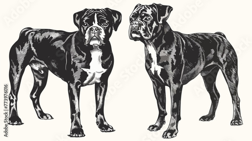 Dog breeds engraved hand drawn vector illustration in