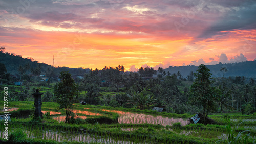 Serene sunset over Bali rice terraces photo