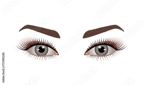 Eyelash extension types, realistic eyes and eyelashes, high detail , vector illustration