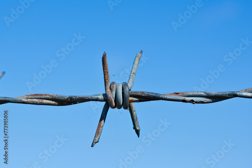 A barbed wire fence against a clear blue sky, representing the concepts of freedom, liberty, or imprisonment, depending on the perspective photo