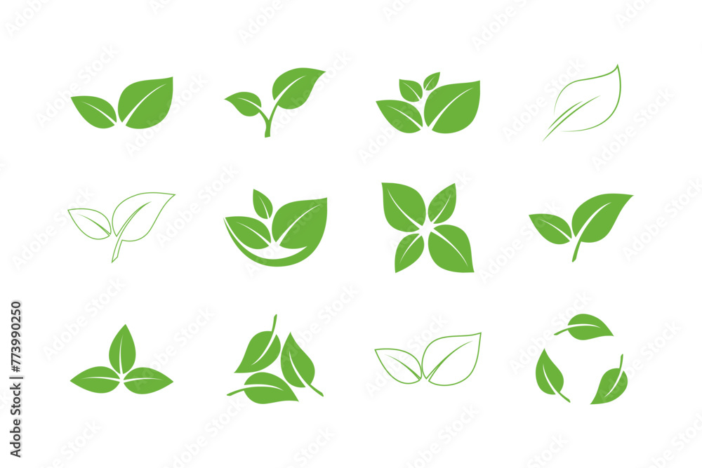 Leaf vector icons. Set of Green Leaves. Eco symbols