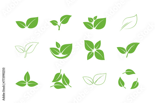 Fototapeta Naklejka Na Ścianę i Meble -  Leaf vector icons. Set of Green Leaves. Eco symbols