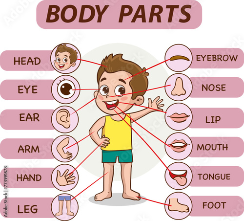 Body parts infographic with cartoon boy and various body parts vector illustration.