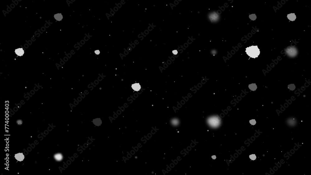 Transparency In Animation Template animation of evenly spaced aspen leafs of different sizes and ...