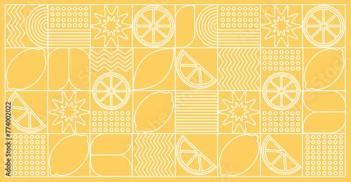 Abstract geometric fruit pattern. Bauhaus pattern abstract geometric. Shapes of natural organic flower plants, eco-agriculture citrus. Vector minimal illustration