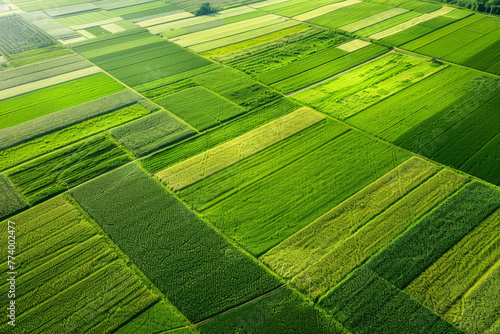 Vibrant Aerial Farmland Patchwork at Golden Hour
