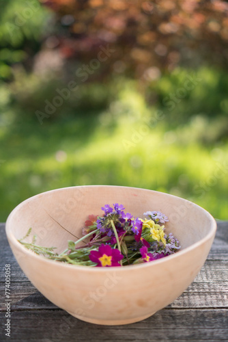 Frisch gepflückte Wiesenblumen Gänseblümchen und Rotklee aus dem eigenen Garten in einer Holzschale am Holztisch im Frühling
