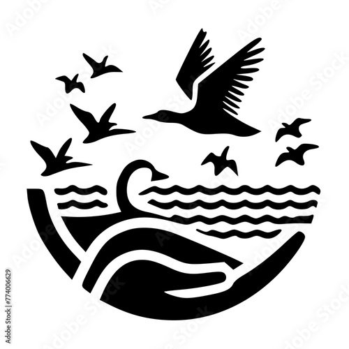 black and white birds