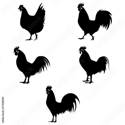 Set of Silhouettes Rooster chicken, Vector rooster design, rooster chicken silhouette set, Rooster silhouette collection, Black rooster silhouette vector illustration set