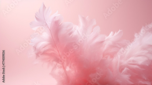 Soft Pink Feathers Texture