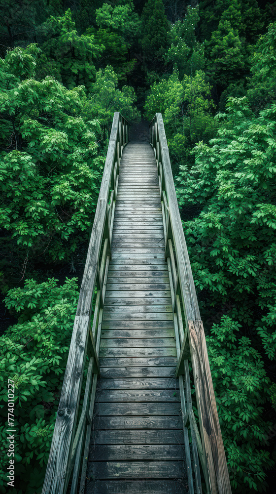 Wooden Bridge Pathway Aerial Perspectiv, road adventure, path to discovery, holliday trip, Aerial view Wooden Bridge Pathway Aerial Perspectiv, road adventure, path to discovery, holliday trip, Aerial view