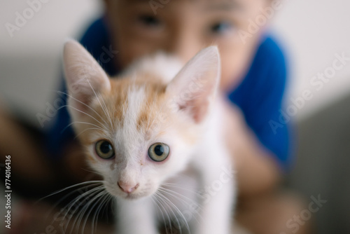 A young boy is holding a kitten in his arms © FAMILY STOCK