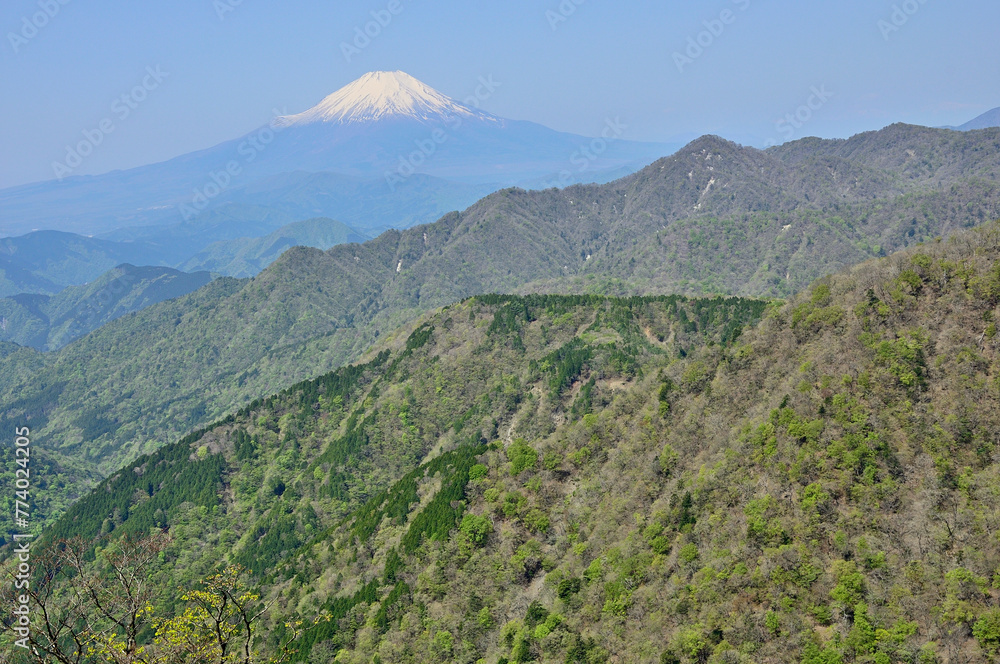 春の丹沢　丹沢主脈　丹沢山より富士山と新緑の山地を望む
