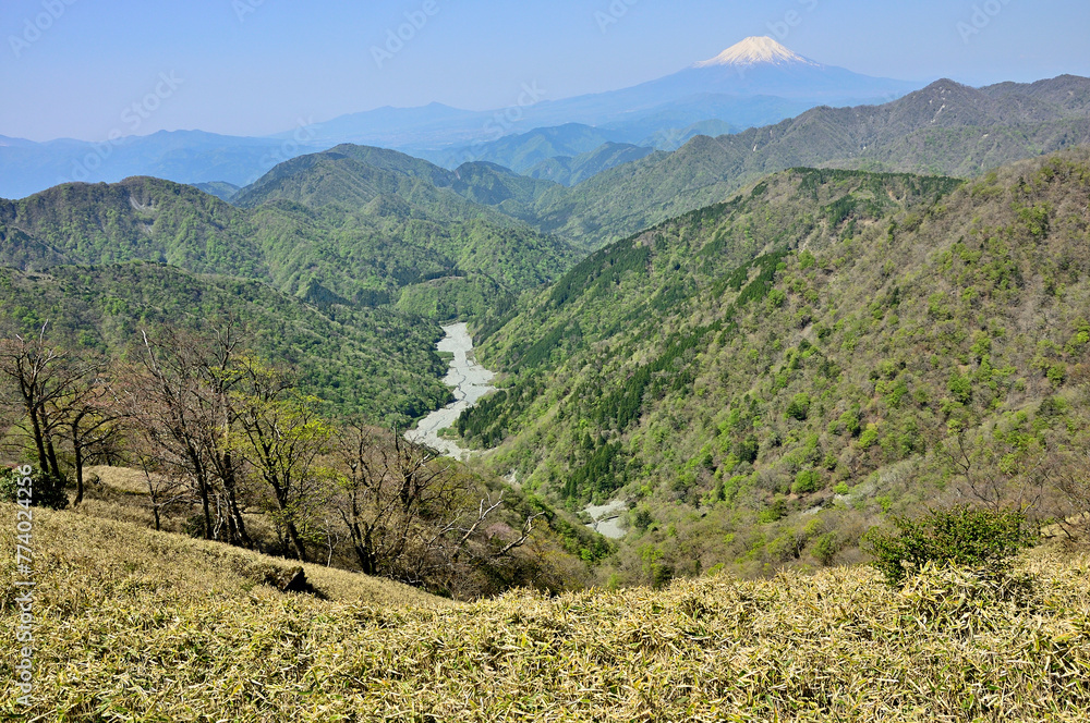 Naklejka premium 春の丹沢 丹沢主脈 丹沢山より新緑の山地と富士山を望む 