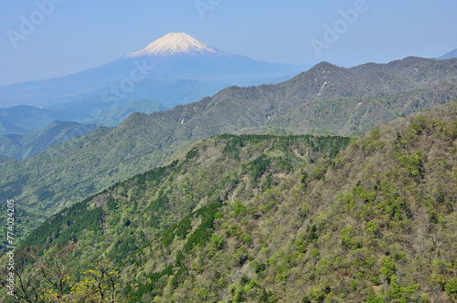 春の丹沢 丹沢主脈 丹沢山より富士山と新緑の山地を望む 
