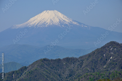 丹沢山地の丹沢山より 春の富士山 