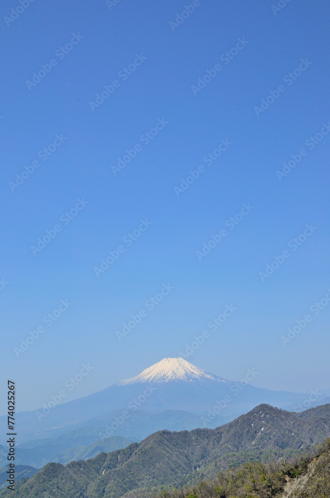丹沢山地の丹沢山より新緑の山地と富士山と青空
