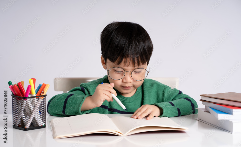 Portrait of an Asian boy studying on a white background
Portrait of an Asian boy studying on a white background