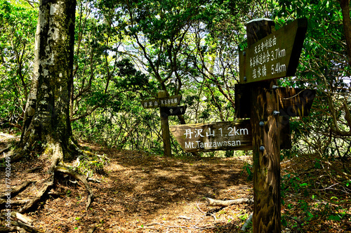 丹沢山地の丹沢山 天王寺尾根分岐 