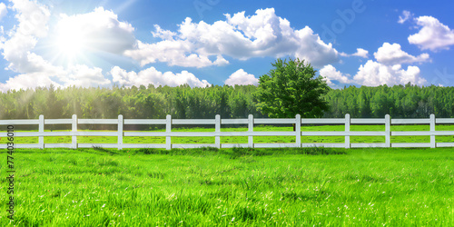 White fence on the background of green meadow and nature landscape