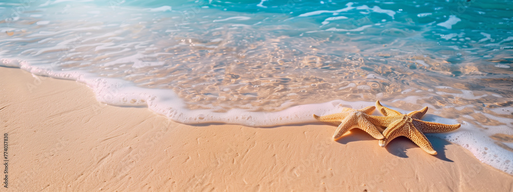 Starfish on Sandy Beach, Crystal Clear Water, Tropical Summer Background