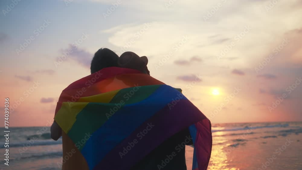 Back view of gay couple with lgbt flag looking to sunset together on ...