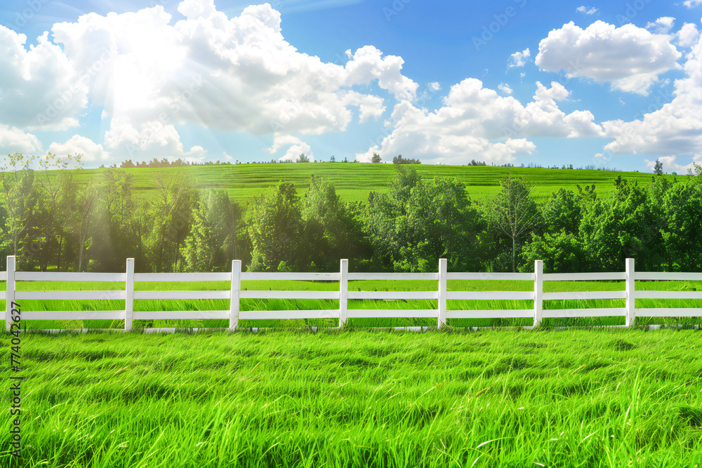 White fence on the background of green meadow and nature landscape White fence on the background of green meadow and nature landscape