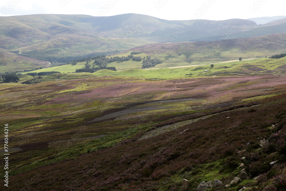 Scottish landscape - Mount Battock from Glen Esk - Angus - Scotland - UK Scottish landscape - Mount Battock from Glen Esk - Angus - Scotland - UK