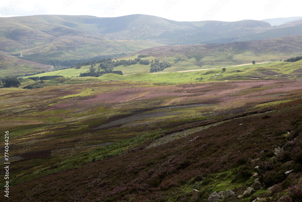 Scottish landscape - Mount Battock from Glen Esk - Angus - Scotland - UK