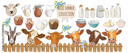 Set of dairy farm products and elements: bottle, jug, cottage cheese, milk, jug, fence, goat, can, butter. Natural products for health. Milk farm. Vector collection of healthy products.