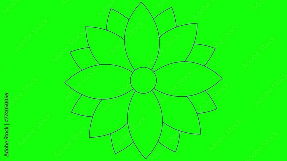 Animated violet linear flower is drawn gradually. Line purple symbol of lotus blossom. Concept of spring, yoga, meditation, gardening, summer, nature, beauty. Vector illustration isolated on green bac Animated violet linear flower is drawn gradually. Line purple symbol of lotus blossom. Concept of spring, yoga, meditation, gardening, summer, nature, beauty. Vector illustration isolated on green bac