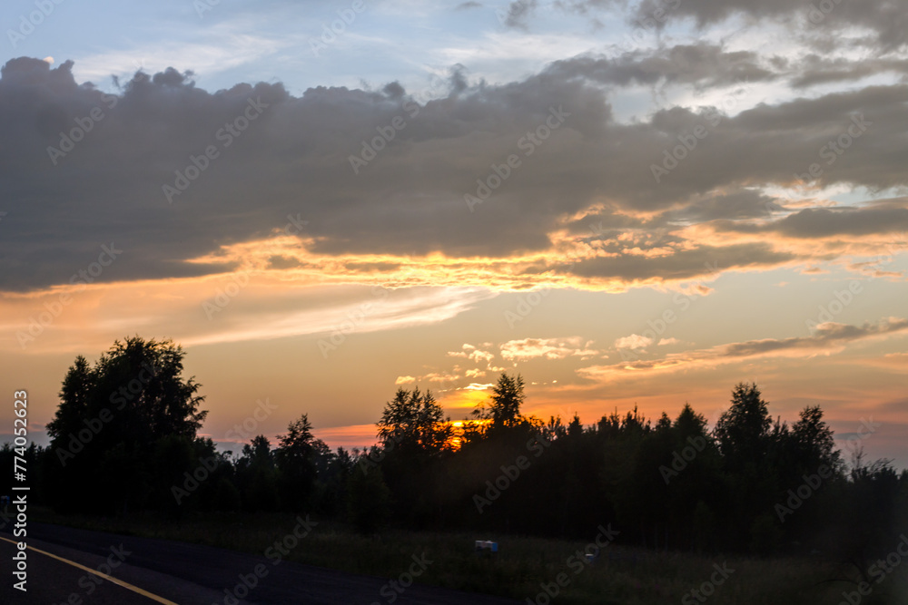 Fototapeta premium sunset on the road in the forest, beautiful photo digital picture
