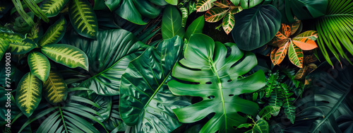 Lush green tropical and botanical leaves bathed in sunlight create a vibrant forest background