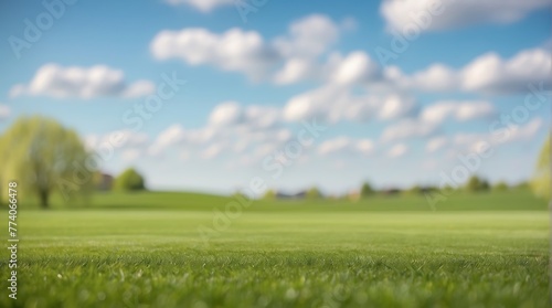 Beautiful summer natural landscape with lawn and blue sky with white clouds with light fog, shallow depth of field, Panoramic spring background.